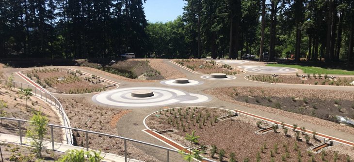 Whispering Firs Stormwater Park